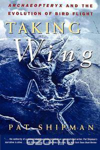 Taking Wing