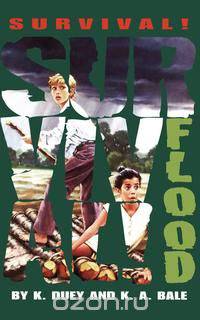 Flood
