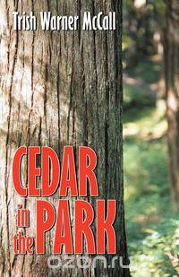 Cedar in the Park