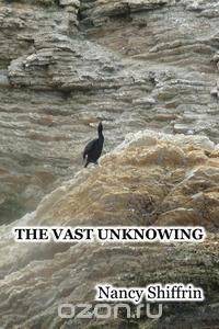 The Vast Unknowing
