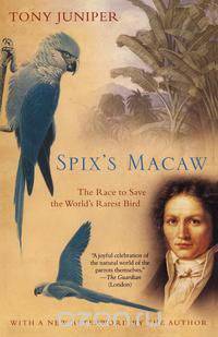 Spix