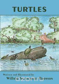 Turtles
