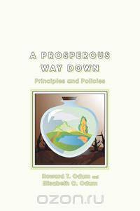 A Prosperous Way Down (pbk)