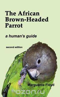 The African Brown-Headed Parrot