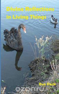 Divine Reflections in Living Things