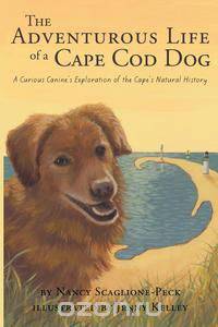 The Adventurous Life of a Cape Cod Dog