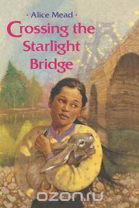 Crossing the Starlight Bridge