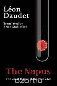 The Napus