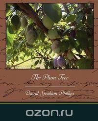 The Plum Tree