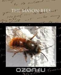 The Mason-bees