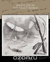 Social Life in the Insect World
