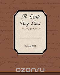 A Little Boy Lost