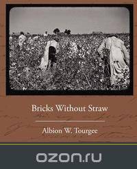 Bricks Without Straw
