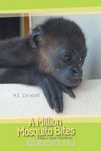 A Million Mosquito Bites