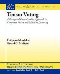Tensor Voting