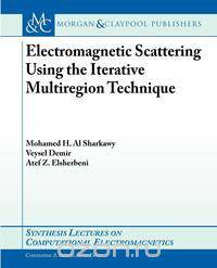Electromagnetic Scattering using the Iterative Multi-Region Technique