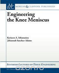 Engineering the Knee Meniscus