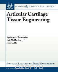 Articular Cartilage Tissue Engineering