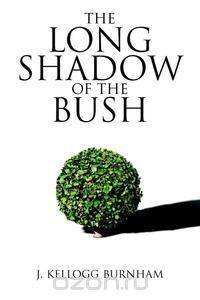 The Long Shadow of the Bush