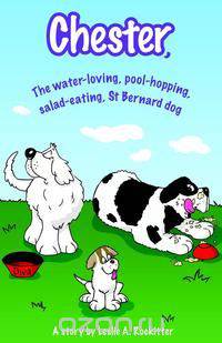 Chester, The water-loving, pool-hopping, salad-eating, St. Bernard dog