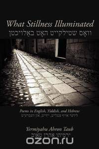 What Stillness Illuminated