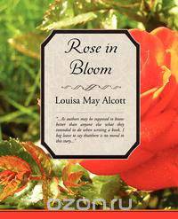 Rose in Bloom