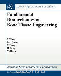 Fundamental Biomechanics in Bone Tissue Engineering