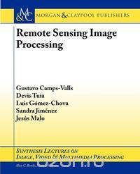Remote Sensing Image Processing