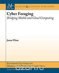 Cyber Foraging