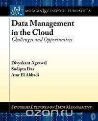 Data Management in the Cloud