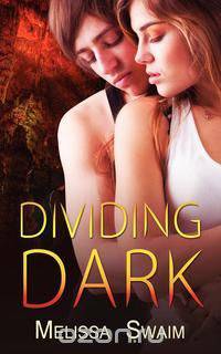 Dividing Dark