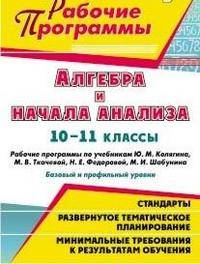 Алгебра и начала анализа. 10-11 класс. Рабочие программы по учебникам Ю.М. Колягина, М.В. Ткачевой, Н.Е. Федоровой, М.И. Шабунина. Базовый и профильный уровни