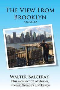 The View from Brooklyn