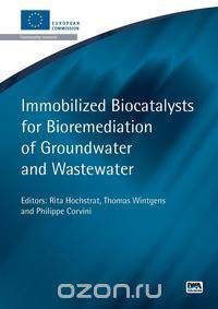 Immobilised Biocatalysts for Bioremediation of Groundwater and Wastewater