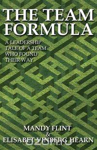 The Team Formula - A Leadership Tale of a Team Who Found Their Way