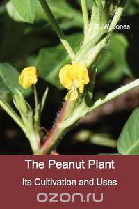 The Peanut Plant