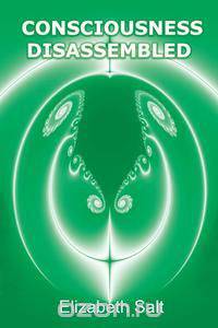 Consciousness Disassembled