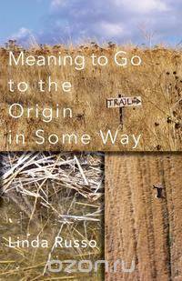 Meaning to Go to the Origin in Some Way