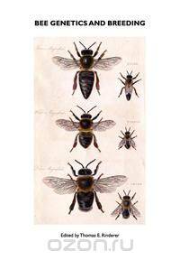 Bee Genetics and Breeding