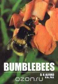 Bumble Bees