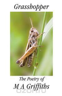 Grasshopper