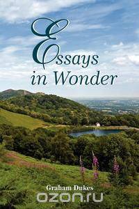 Essays in Wonder
