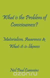 What is the Problem of Consciousness?
