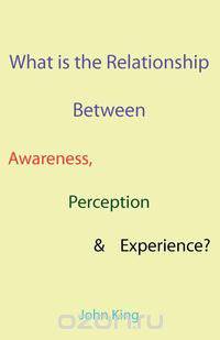What is the Relationship Between Awareness, Perception & Experience?
