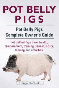 Pot Belly Pigs. Pot Belly Pigs Complete Owners Guide. Pot Bellied Pigs care, health, temperament, training, senses, costs, feeding and activities.