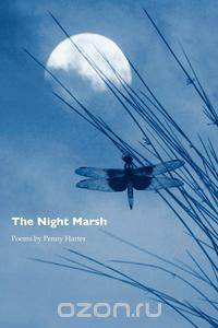 The Night Marsh