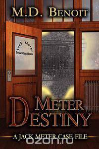 Meter Destiny