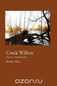 Crack Willow