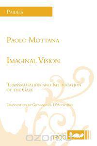 Imaginal Vision