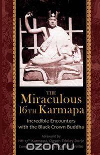The Miraculous 16th Karmapa